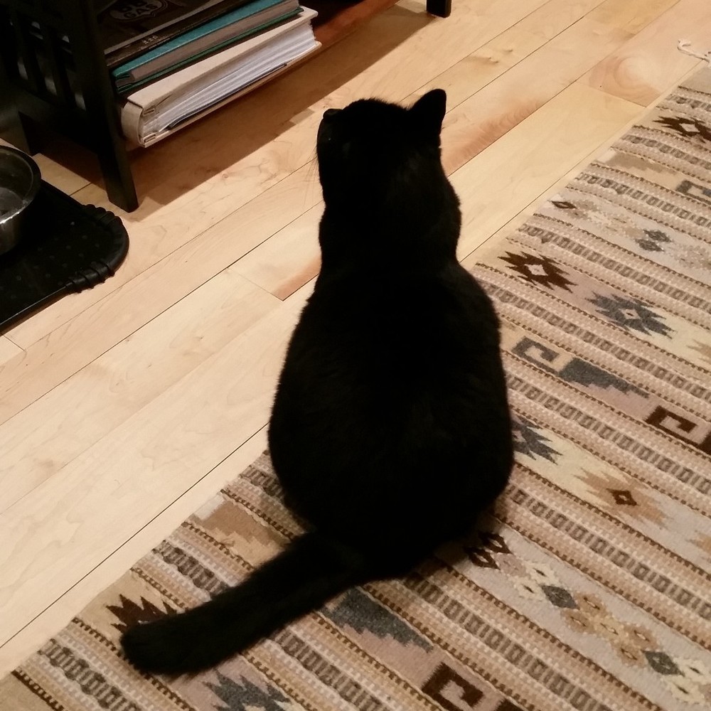 Meet your Posher, Nancy